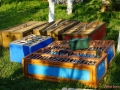 DSC02584_1
