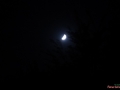 DSC02606_1