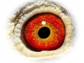 Hebberecht-Eye