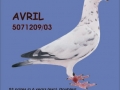 avril2008blauw1