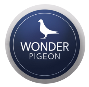 Wonder Pigeon