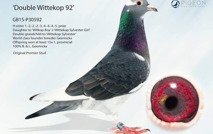 GB15-P30592_2