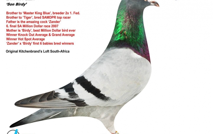 son birdy za14-trpf-25254