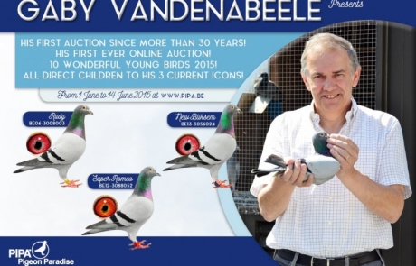 vandenabeele_gaby_cataloog_0